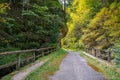 Landscape of forest in Cheile TiÃÅ¸iÃÂ£ei, Romania Royalty Free Stock Photo